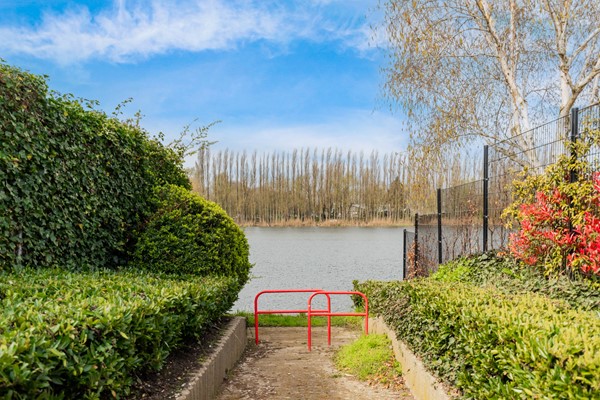 Albert Schweitzererf 6_46.jpg